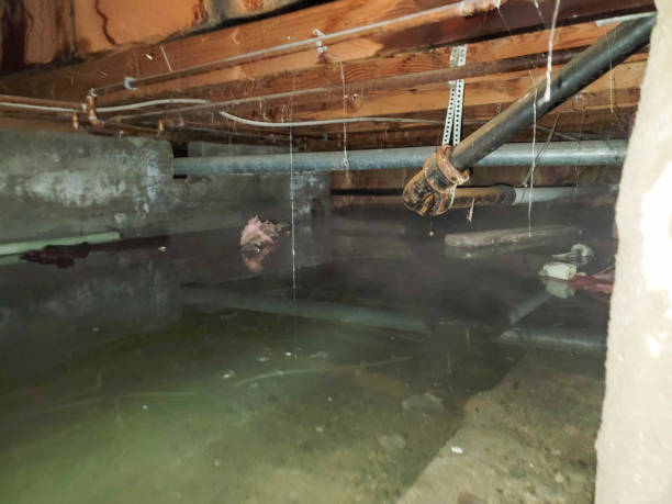 Best Water damage contractors near me  in Armonk, NY