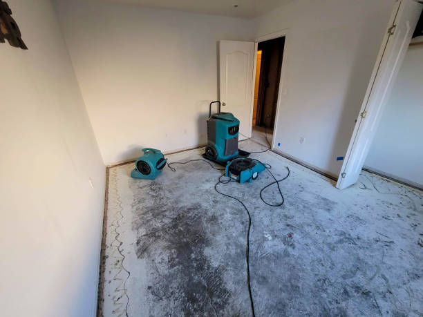 Best Flood damage cleanup  in Armonk, NY