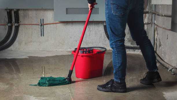 Best Ceiling water damage repair  in Armonk, NY
