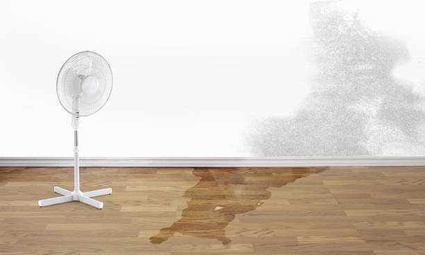 Professional Water damage restoration in Armonk, NY