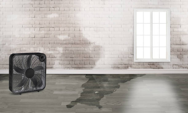 Best Water damage restoration near me  in Armonk, NY