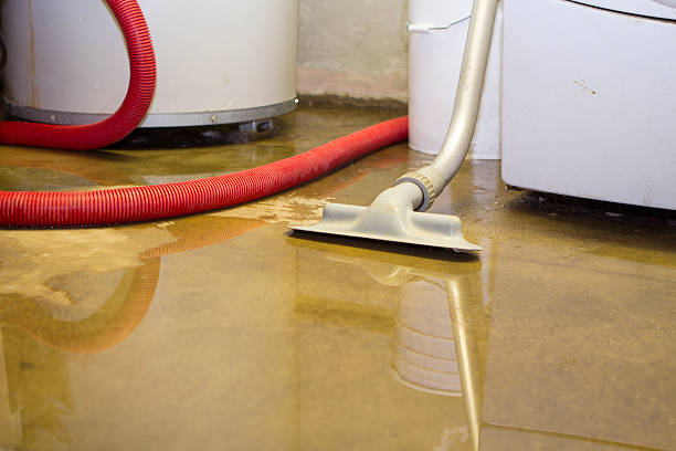 Best Water damage cleanup near me  in Armonk, NY