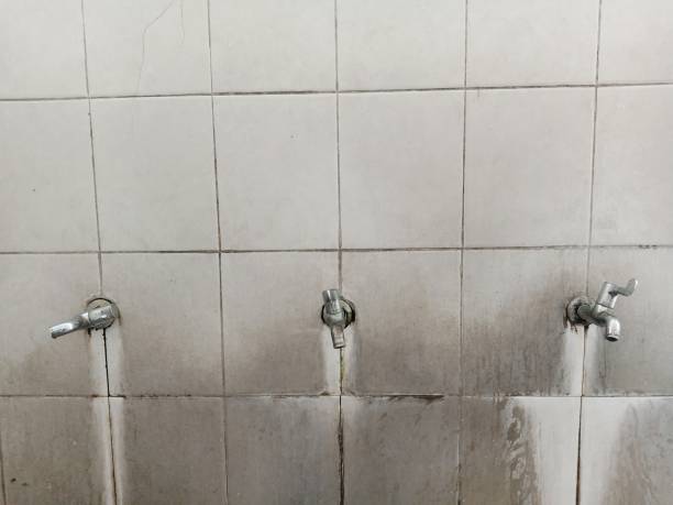 Best Professional water damage repair  in Armonk, NY