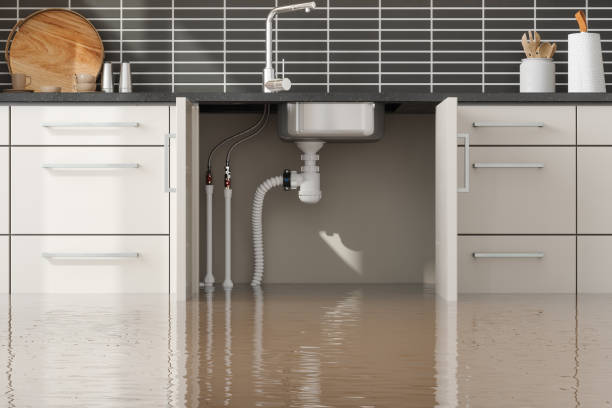 Best Carpet water damage restoration  in Armonk, NY