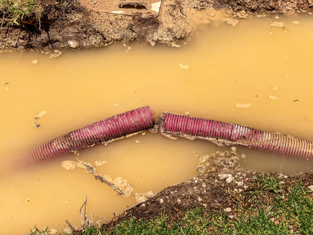  Armonk, NY Water damage restoration Pros